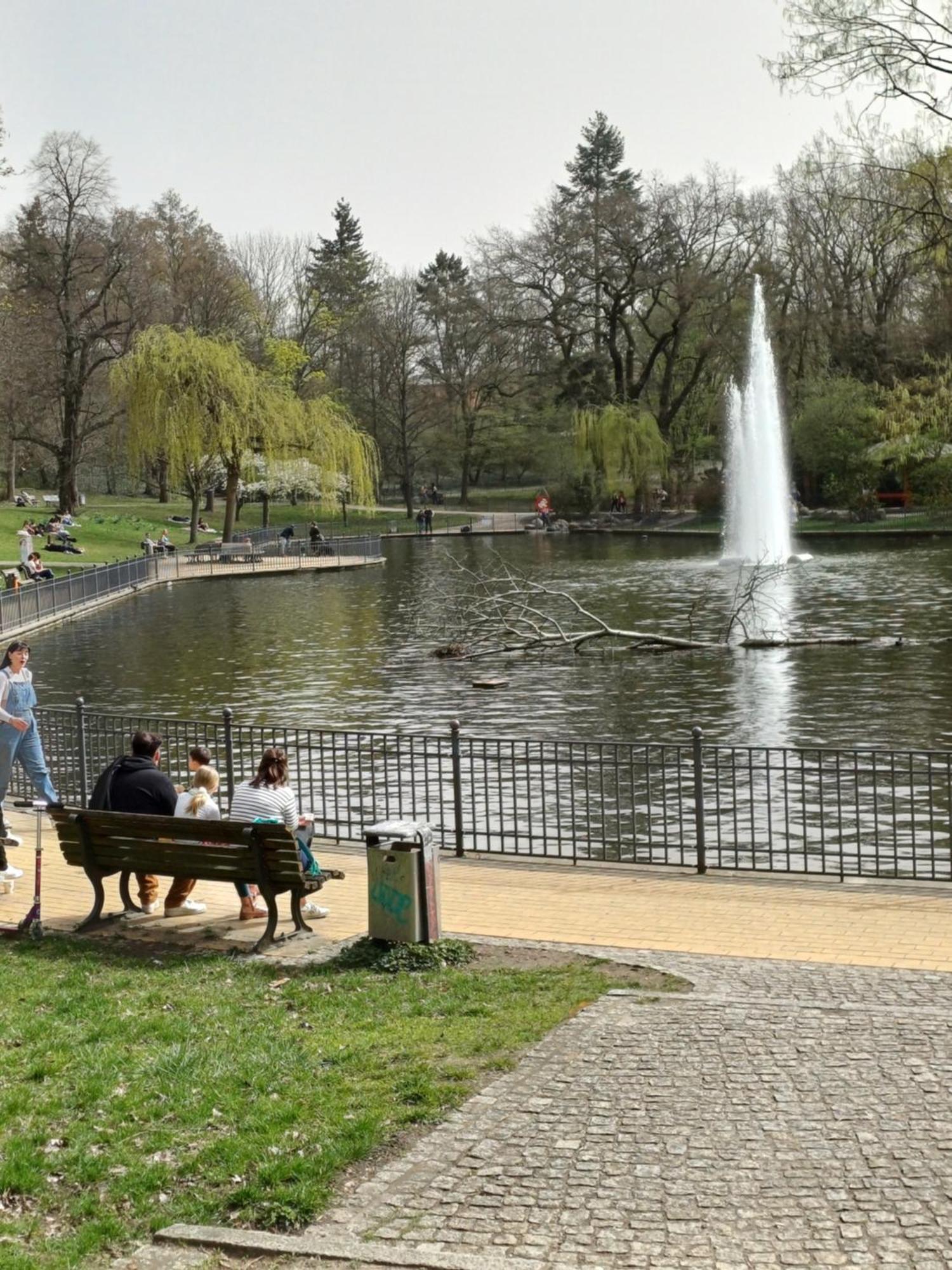 Suite Park & City Alex 4 Rooms 2 Bathrooms 2 Kitchen Berlin Eksteriør billede